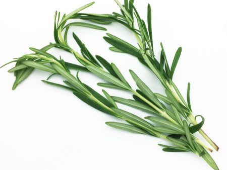 Genting Garden Rosemary Leaves (Malaysia) 10g on Sale