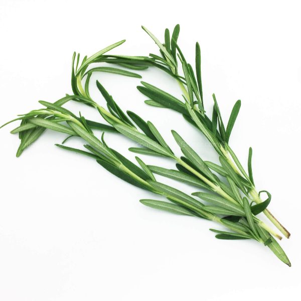 Genting Garden Rosemary Leaves (Malaysia) 10g on Sale