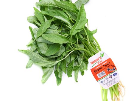 Summer Harvest Sharp Spinach (Bayam Tajam) 250g Sale