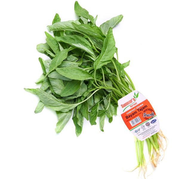 Summer Harvest Sharp Spinach (Bayam Tajam) 250g Sale