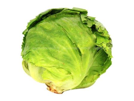 Cameron Garden Iceberg Lettuce 300g Online Sale