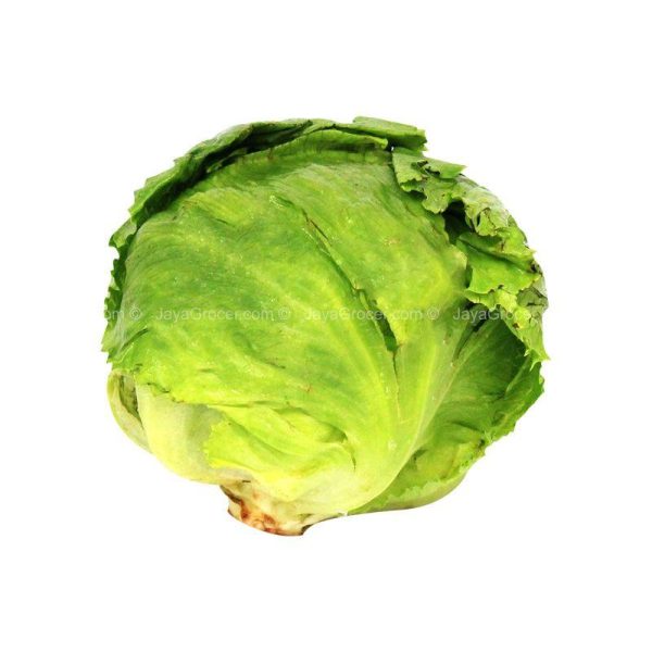 Cameron Garden Iceberg Lettuce 300g Online Sale