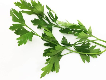 Genting Garden Italian Parsley Leaves (Malaysia) 10g Online Sale