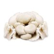 Oyster Mushroom (Malaysia) 200g Hot on Sale