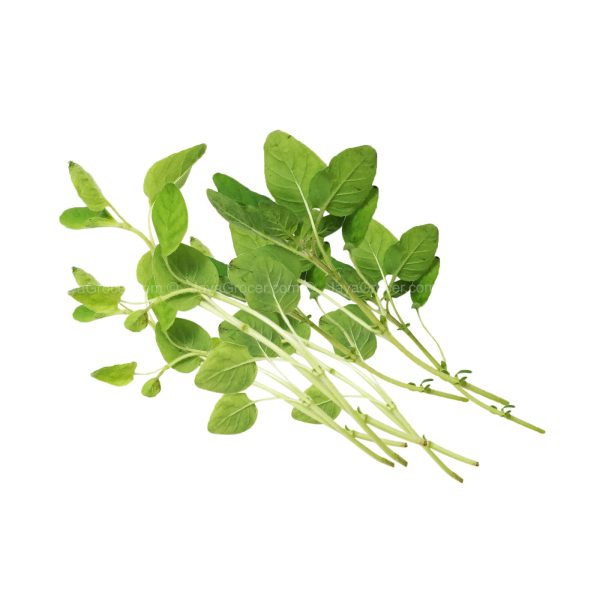 Genting Garden Oregano Leaves (Malaysia) 10g Online now