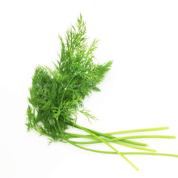 Genting Garden Dill Leaves 10g Cheap