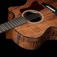 Taylor 524ce LTD Grand Auditorium Acoustic Walnut For Cheap